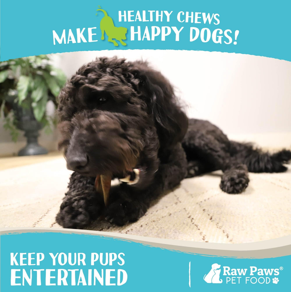 Raw Paws Camel Skin Chews allergen-friendly option for sensitive pets.