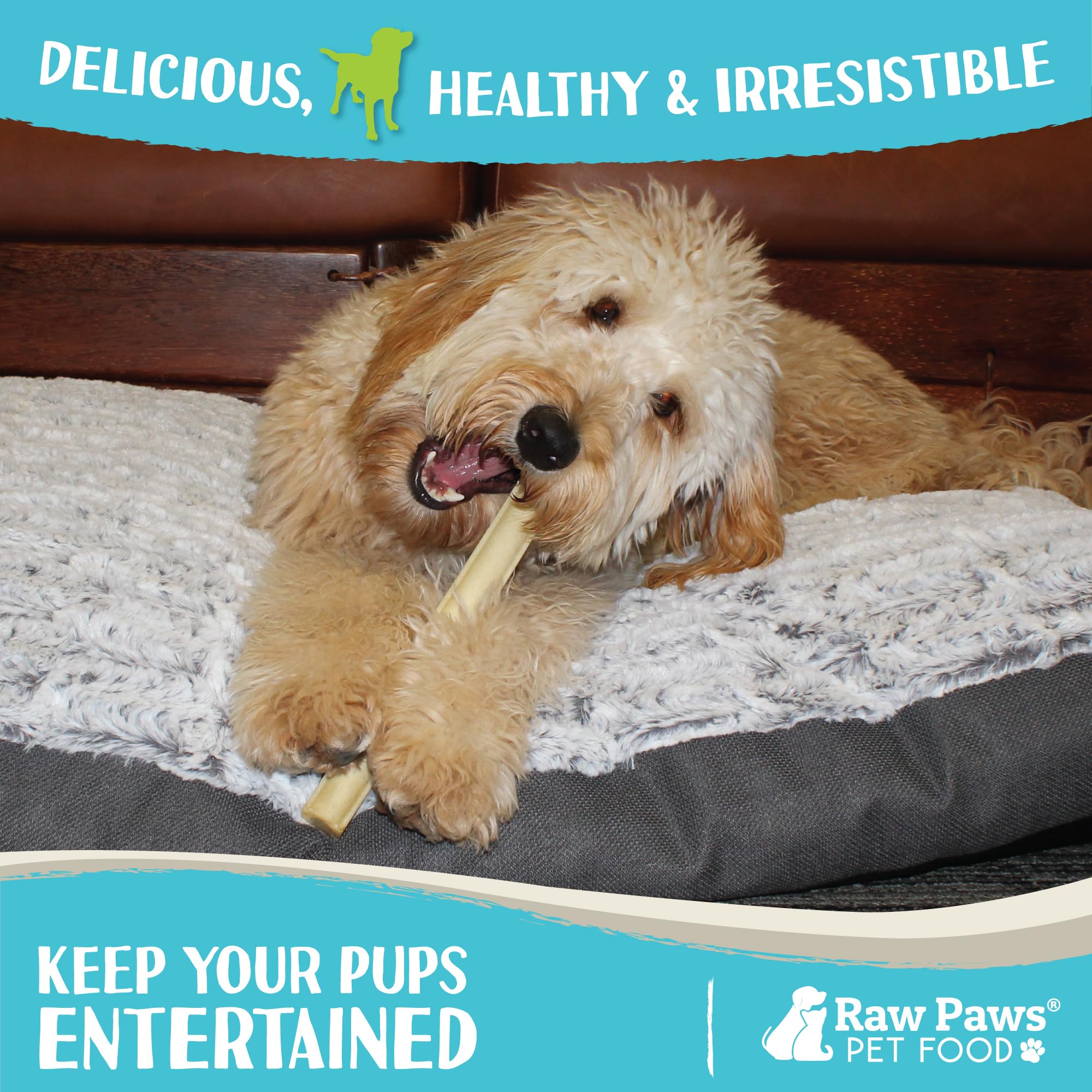 Raw Paws dental-friendly chew surface aiding plaque removal