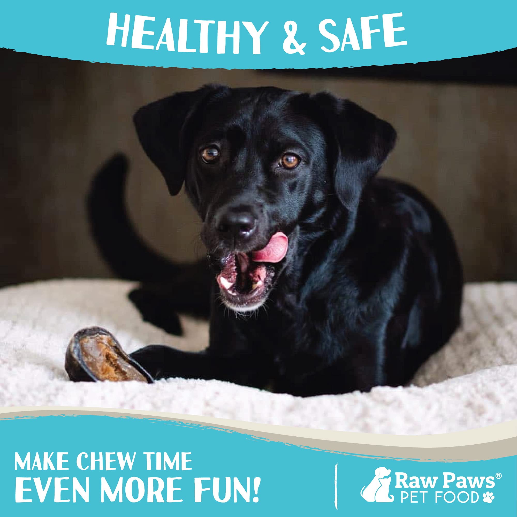 Raw Paws dog chews support dental-friendly chewing during treat time.