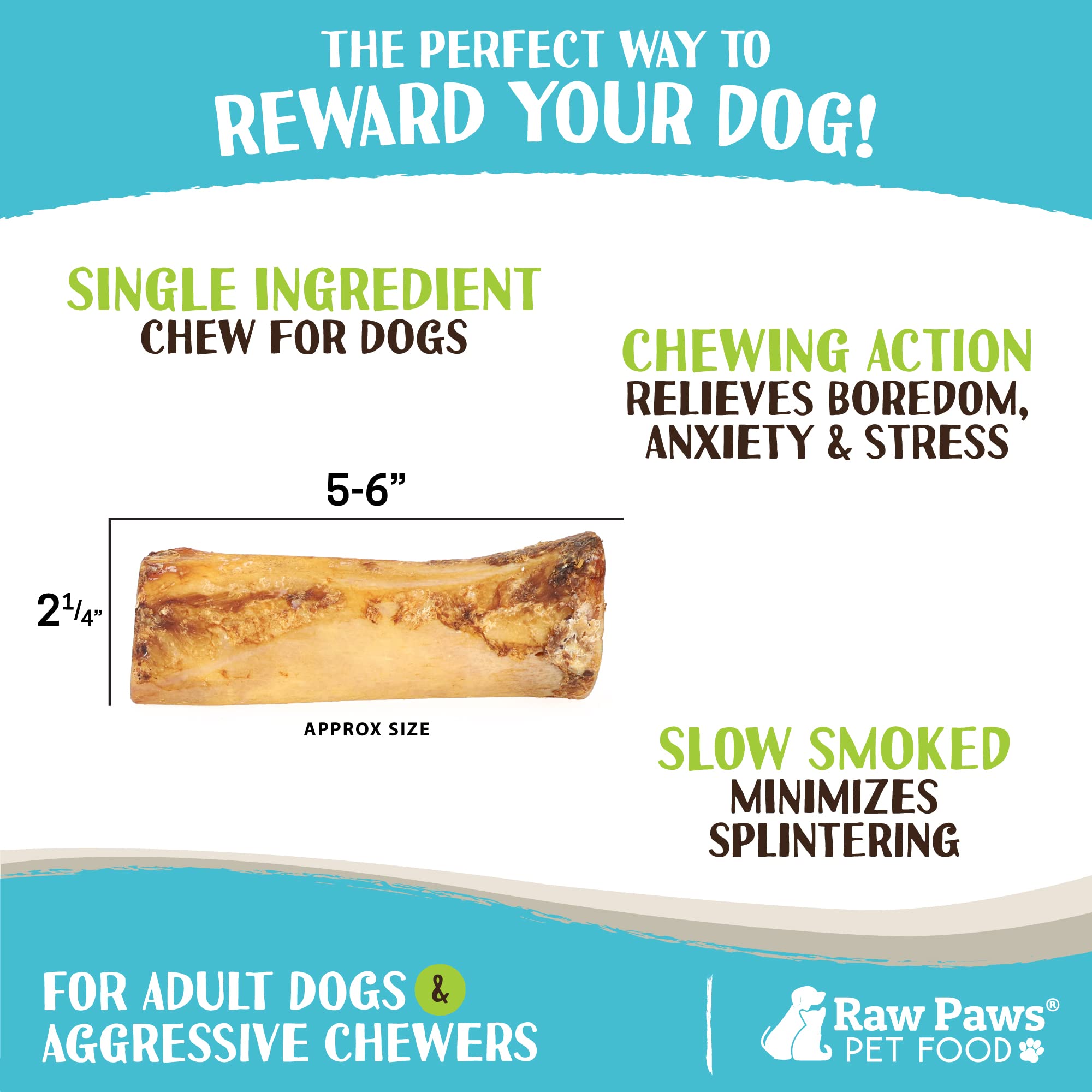 Raw Paws dog chew action shows a dog enjoying the marrow bone snack.