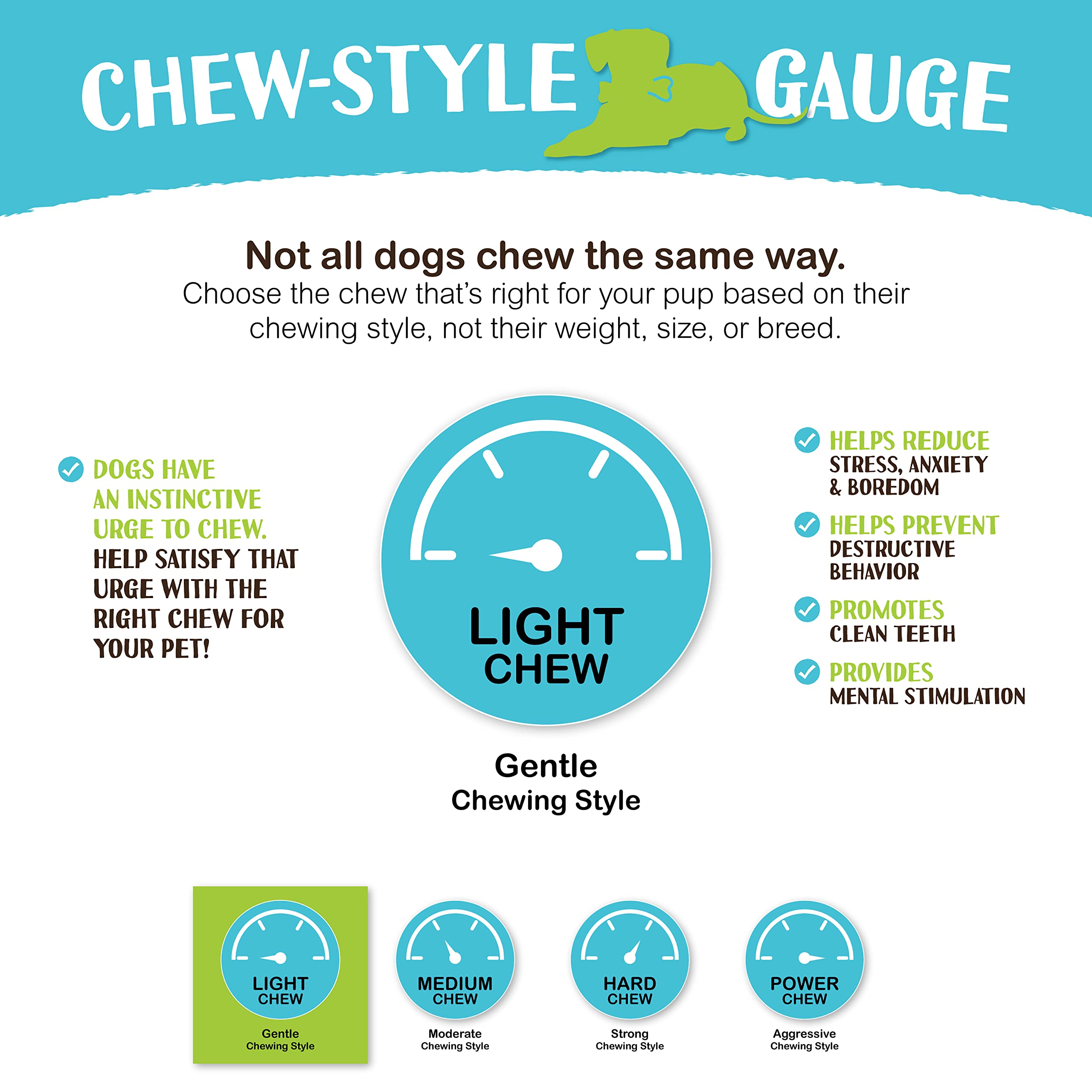 Raw Paws Green Beef Tripe Sticks dog-chewing demonstrates healthy chew time.