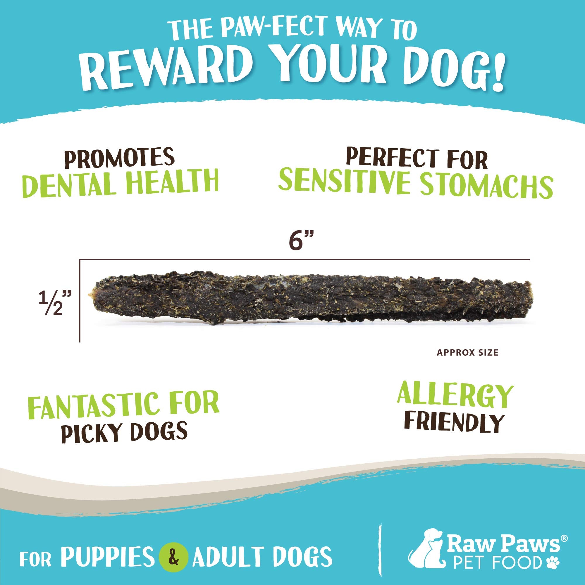 Raw Paws Green Lamb Tripe Sticks dog chewing demonstrates satisfying, safe daily reward