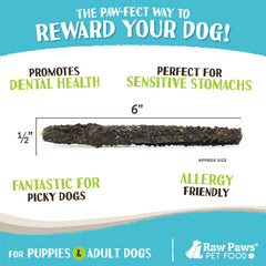 Raw Paws Green Lamb Tripe Sticks dog chewing demonstrates satisfying, safe daily reward