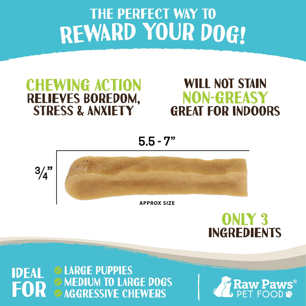 Raw Paws Himalayan Yak Chews dog chewing action, engaging long-lasting chew for boredom relief.