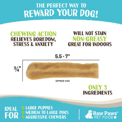 Raw Paws Himalayan Yak Chews dog chewing action, engaging long-lasting chew for boredom relief.
