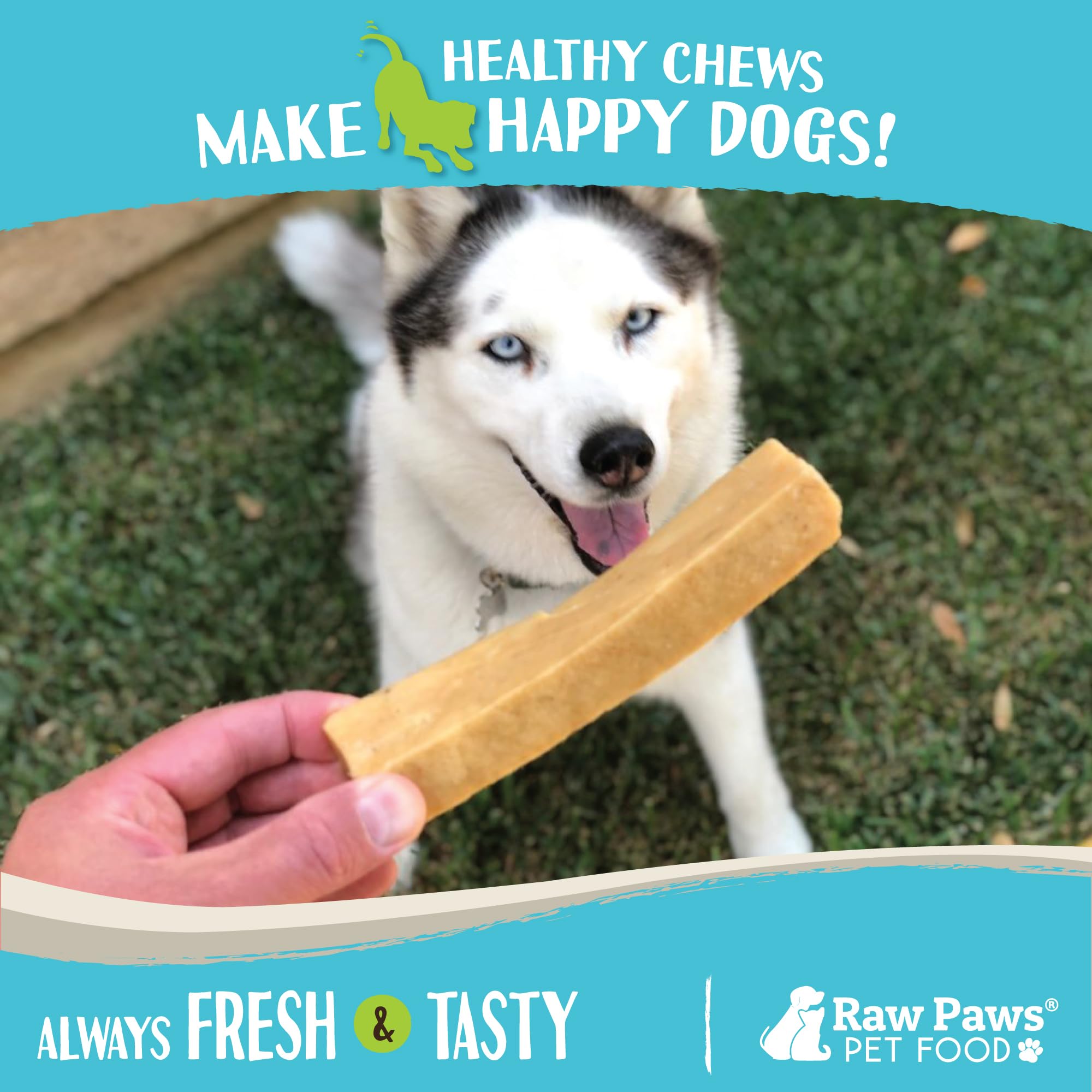 Raw Paws Himalayan Yak Chews large dog chew size, suited for medium to large dogs.