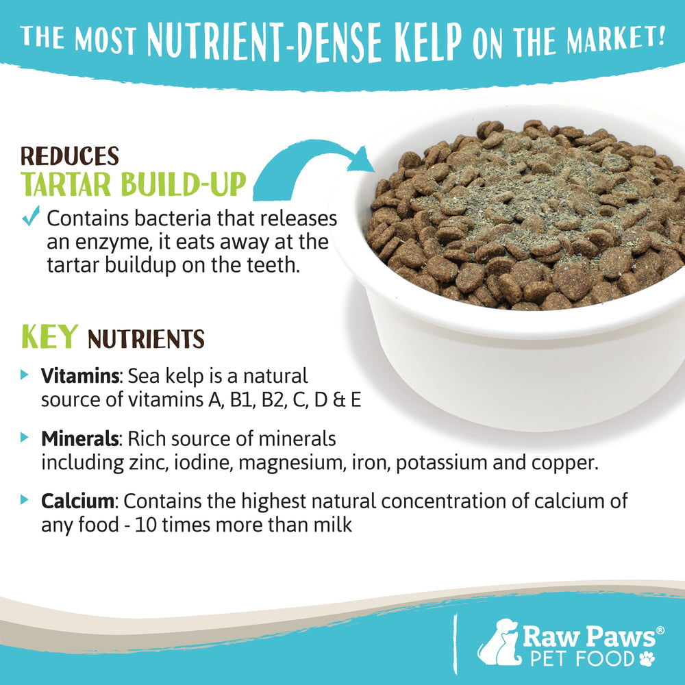 Raw Paws kelp powder packaging display—trusted source from Icelandic waters.