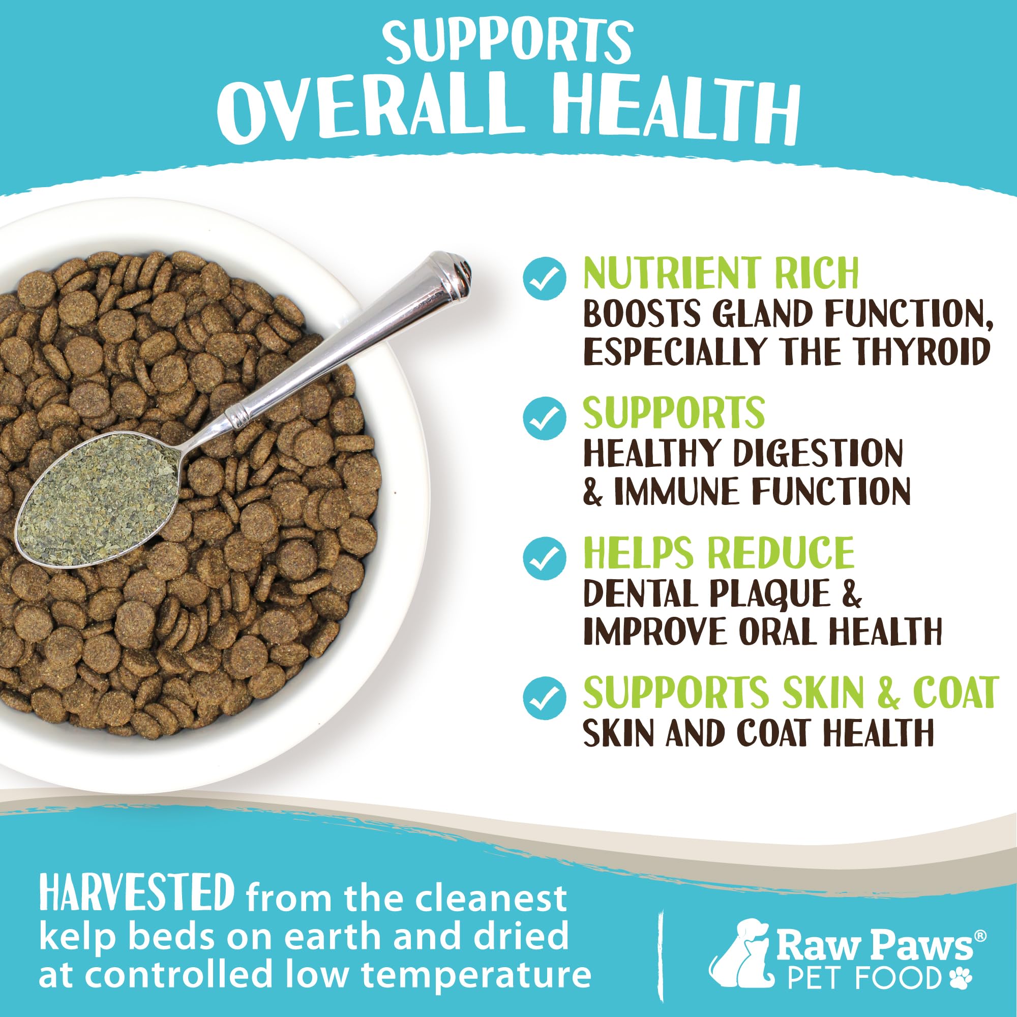 Raw Paws kelp powder texture closeup—organic seaweed with nutrient richness.
