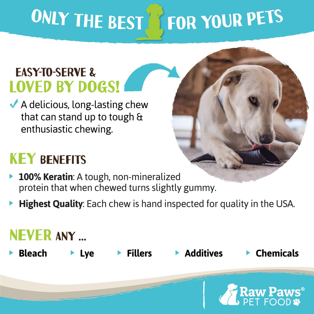 Raw Paws lamb horn dental action highlights natural texture aiding cleaning.