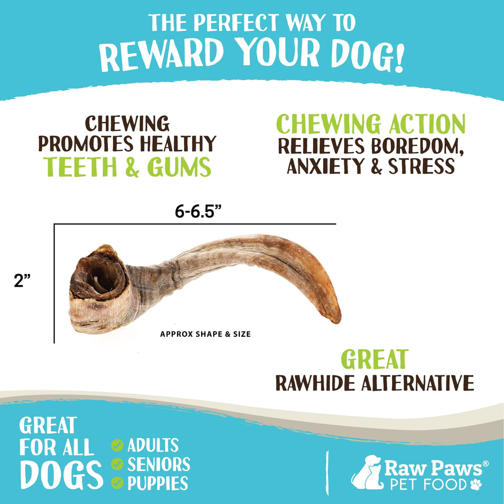 Raw Paws Lamb Horns for Dogs rawhide alternative supports safe chewing.