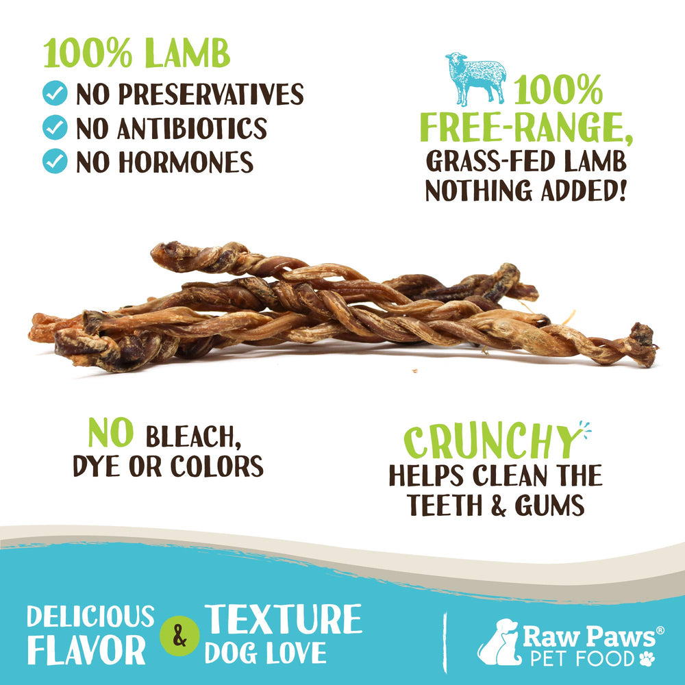Raw Paws Lamb Pizzle Twists texture closeup reveals braided, grain-free chew.