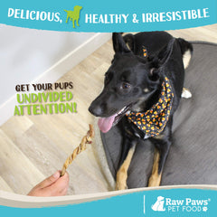 Raw Paws Lamb Pizzle Twists texture braid closeup showcases 5-9 inch chew.