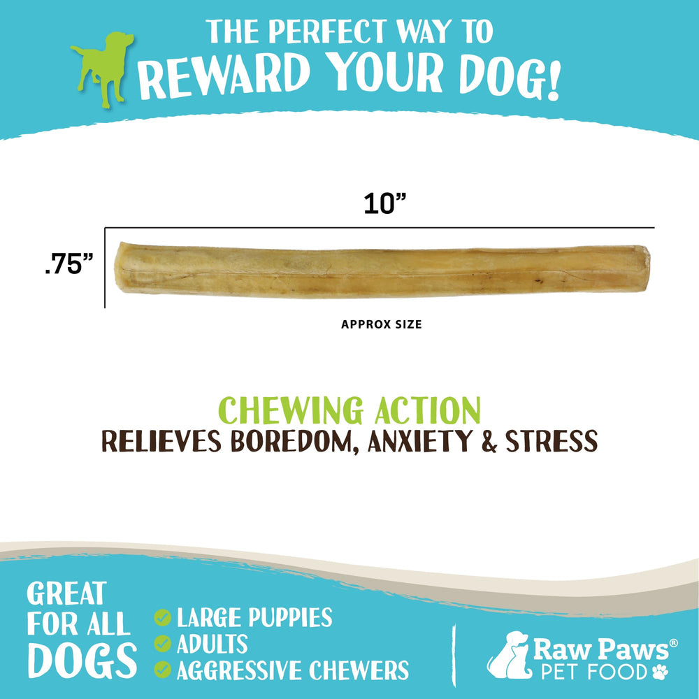 Large dog chewing Raw Paws rawhide stick during playtime