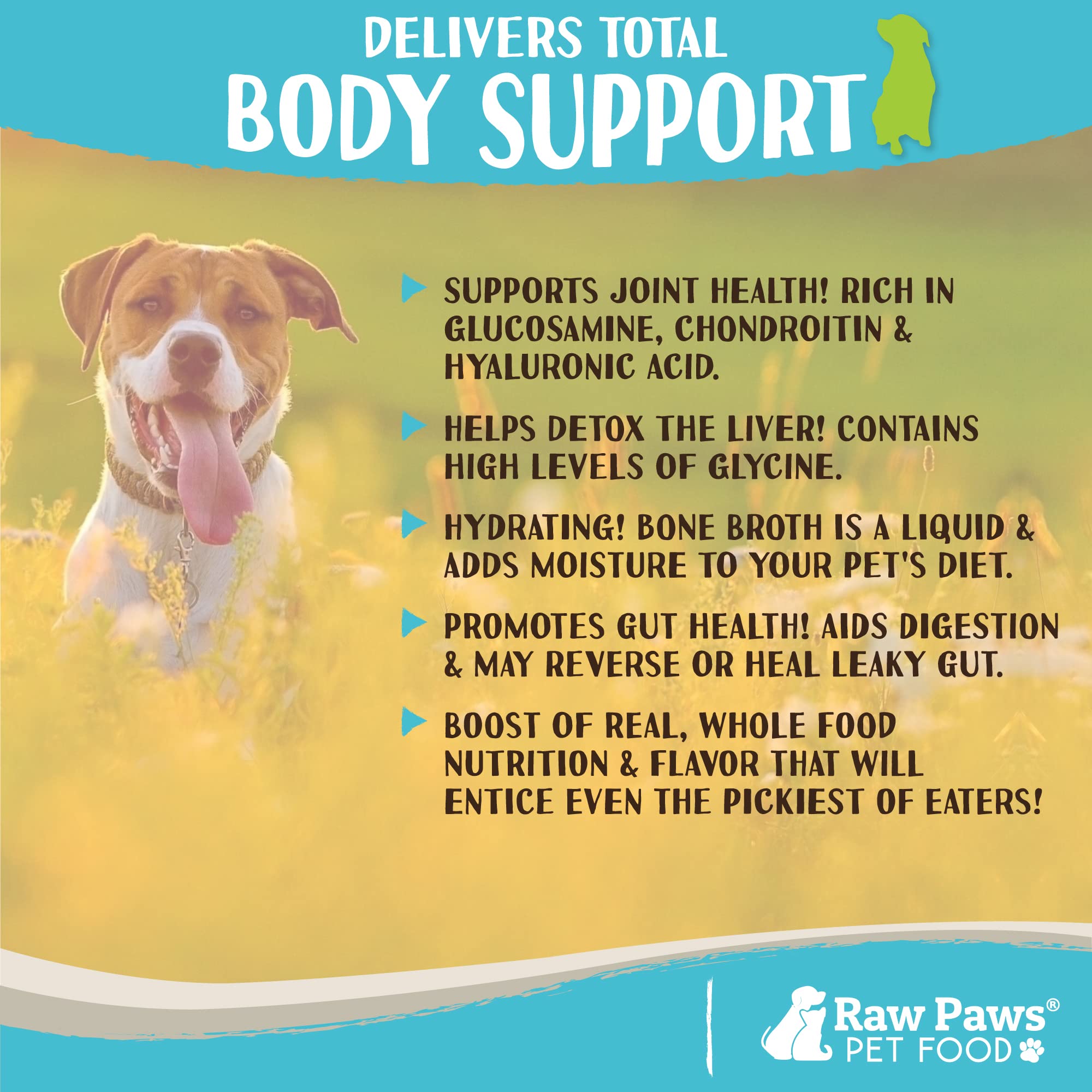 Raw Paws made in USA seal indicates domestic sourcing.