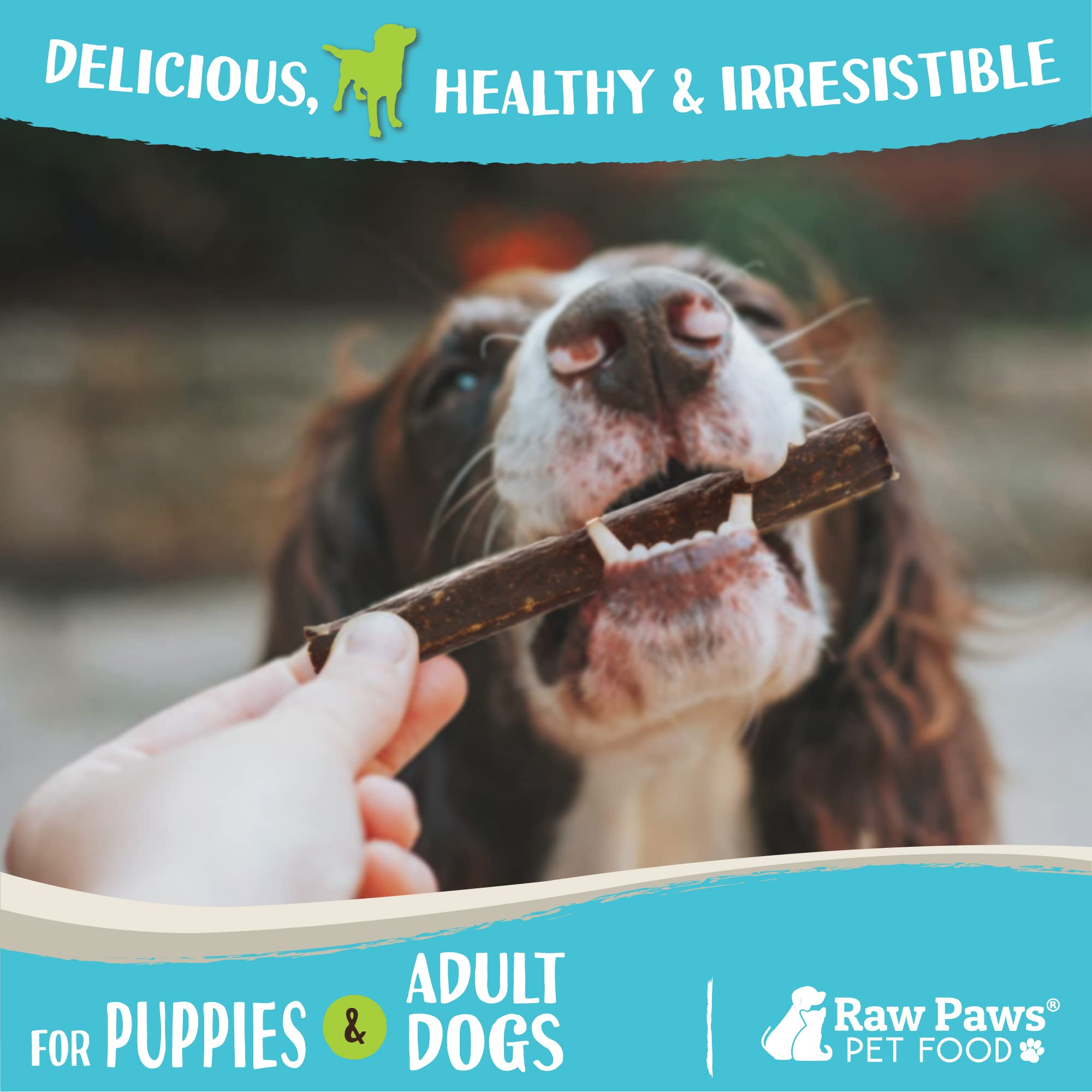 USA-made Raw Paws venison jerky packaging highlighting ethical sourcing.