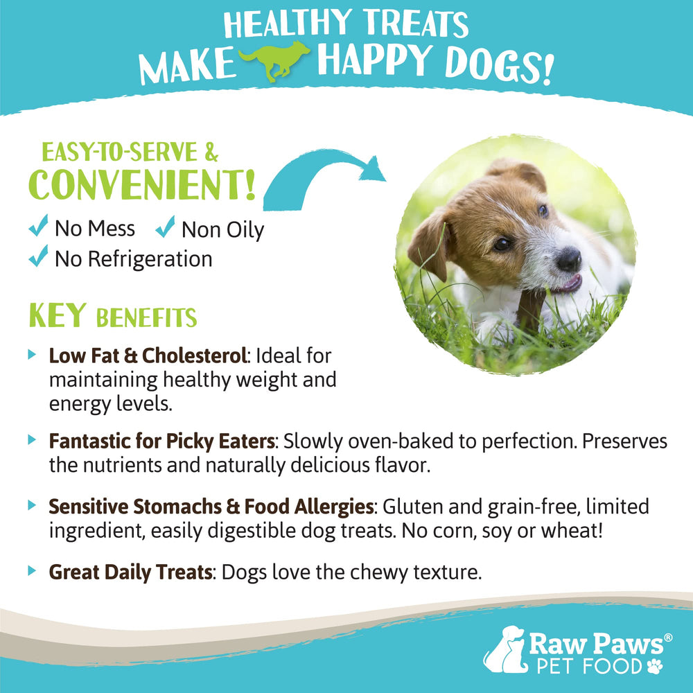 Raw Paws venison treats offering a low-allergen, novel-protein option.