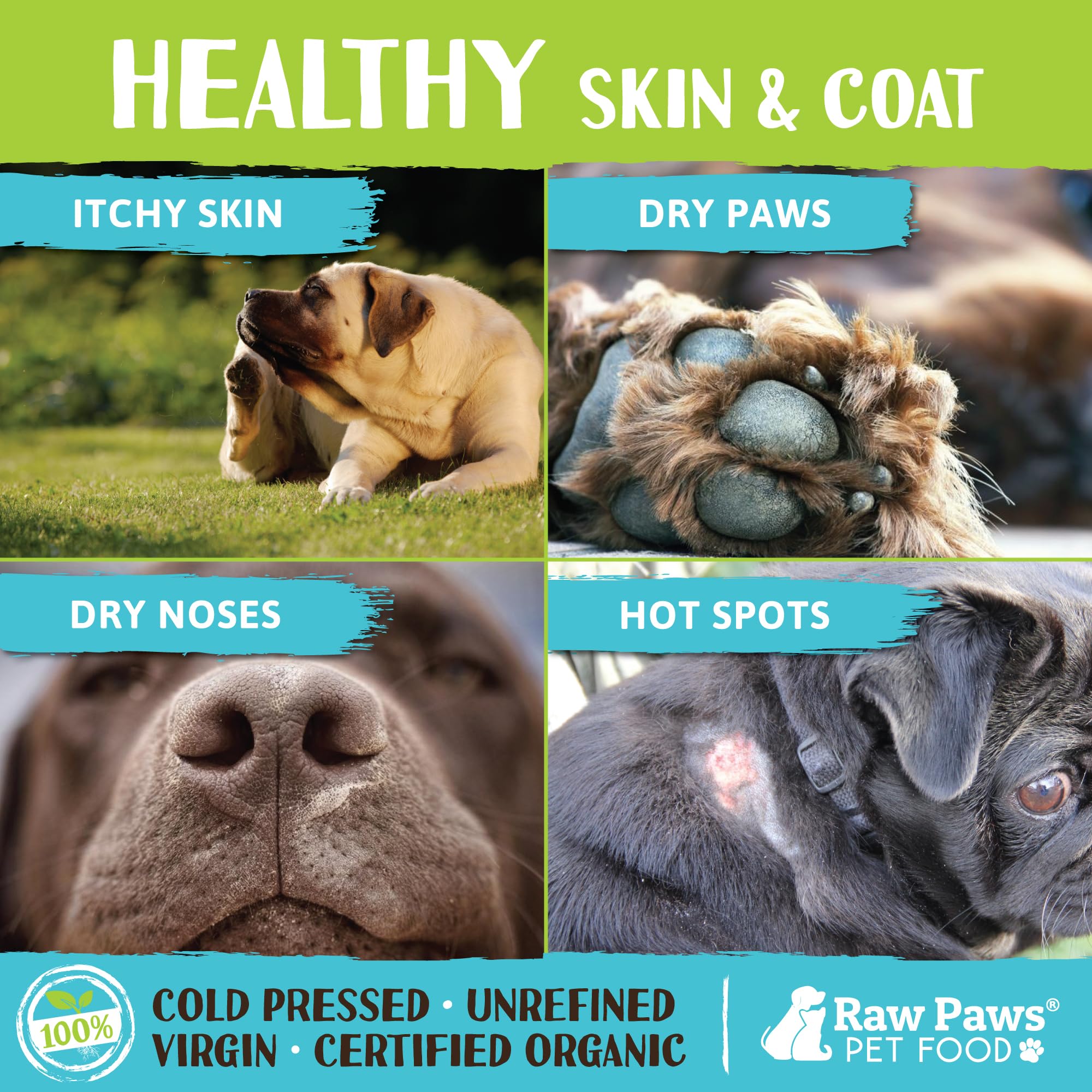 Raw Paws coconut oil applied to a dog's coat for hydration and shine