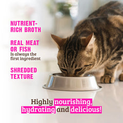 Rawz chicken shredded wet cat food can with resealable lid for quick meals