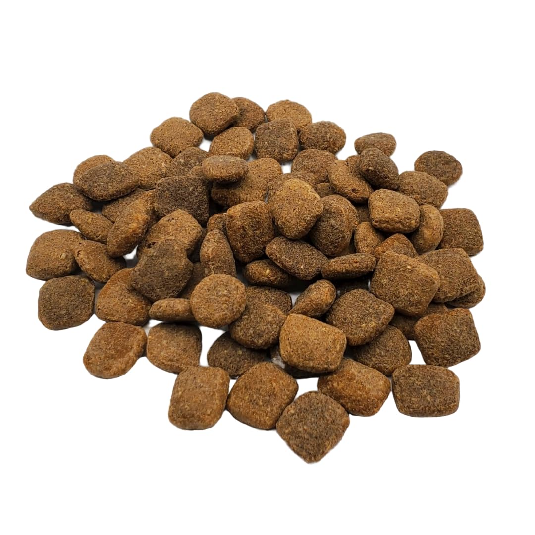 Rawz Meal Free dry dog food kibble closeup highlighting protein-dense pieces