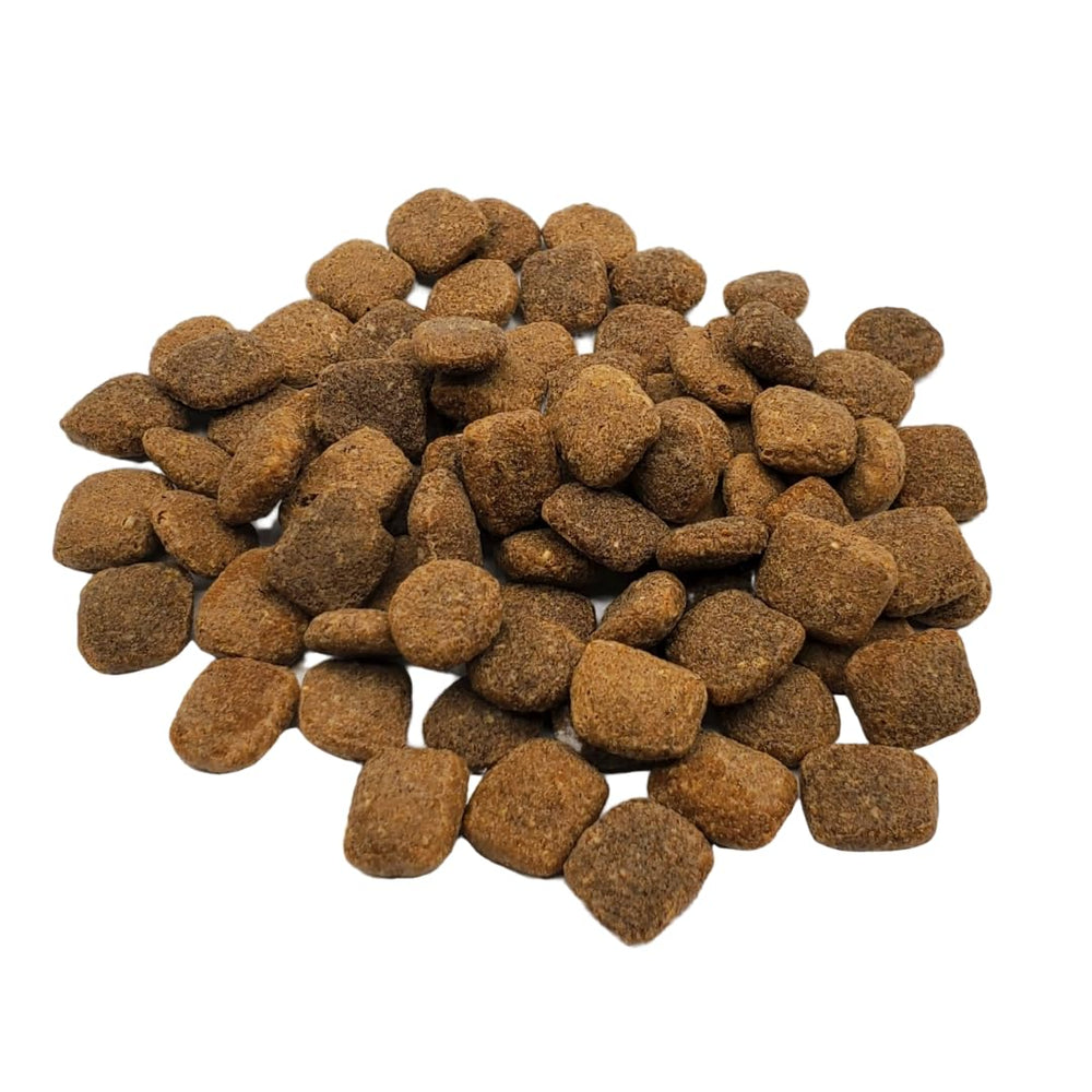 Rawz Meal Free dry dog food kibble closeup highlighting protein-dense pieces