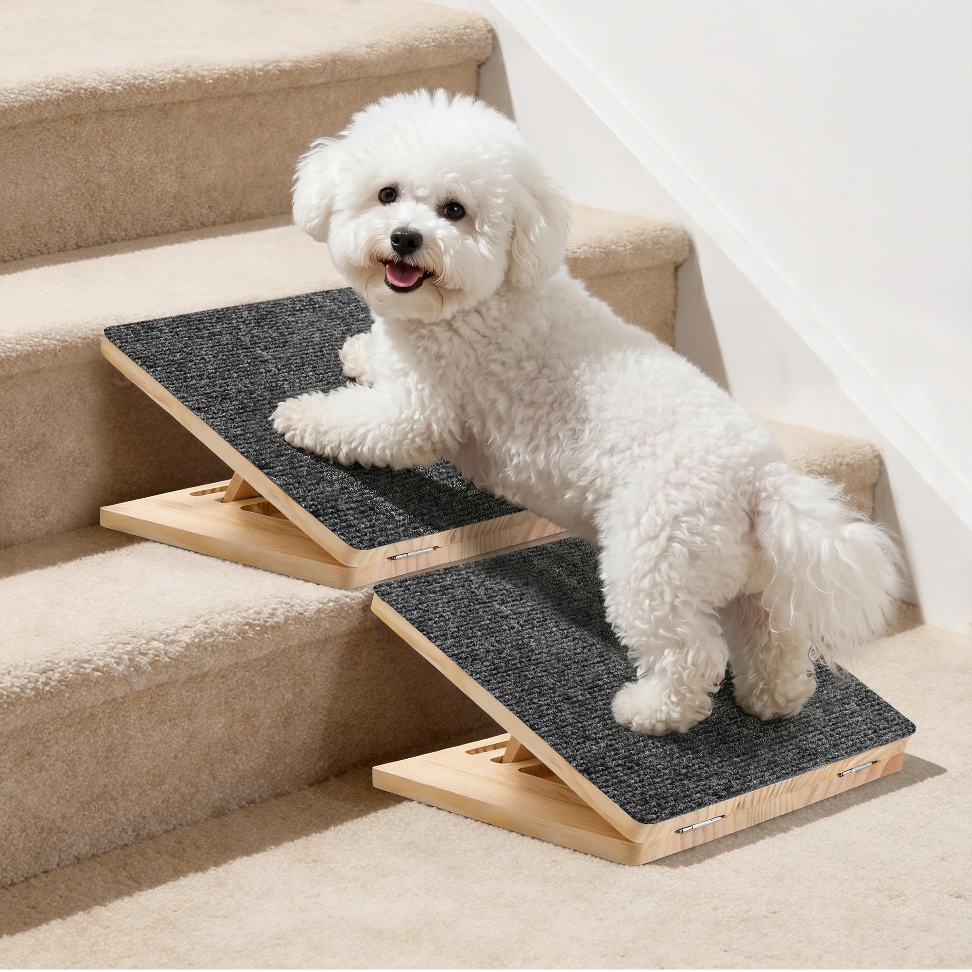 Rayki dog ramp stairs 2-pack enables easy climbs for small dogs at home.