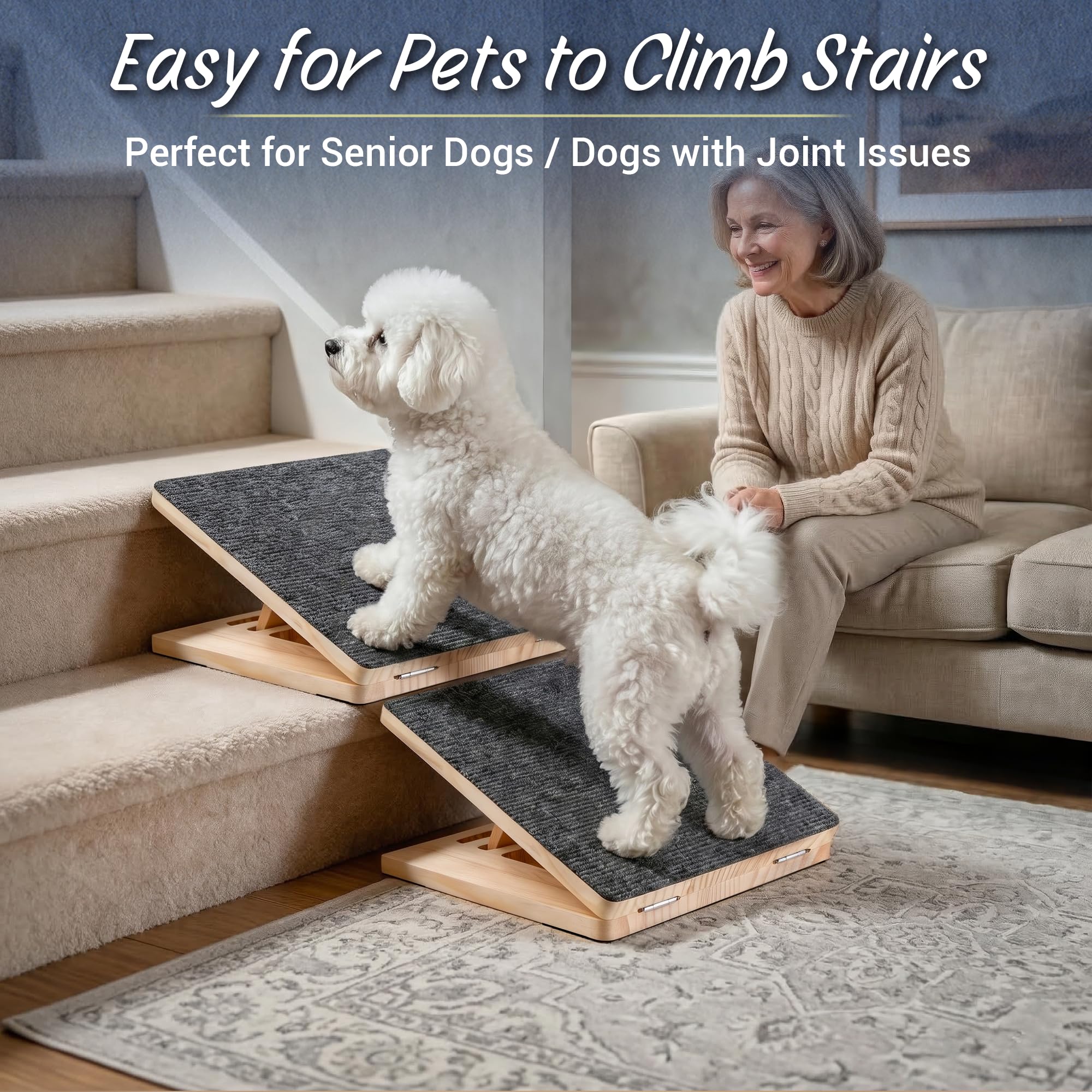 Rayki portable dog ramp 2-pack supports stairs and mobility at home.