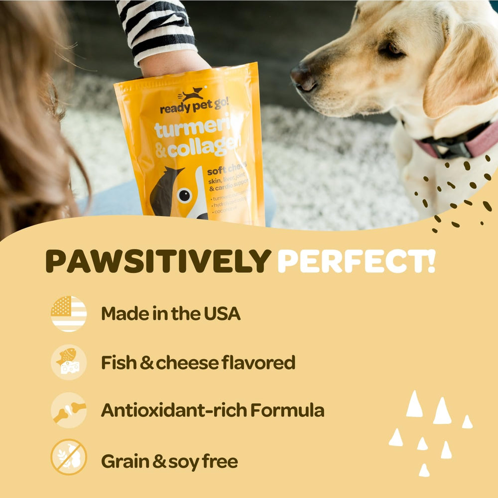 Collagen-infused Ready Pet Go dog chews detail for joint and coat health