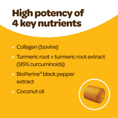 Ready Pet Go collagen turmeric formula highlighting collagen and curcumin for daily joint nourishment.
