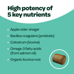 Close up of soft chews to emphasize palatable texture for daily routine