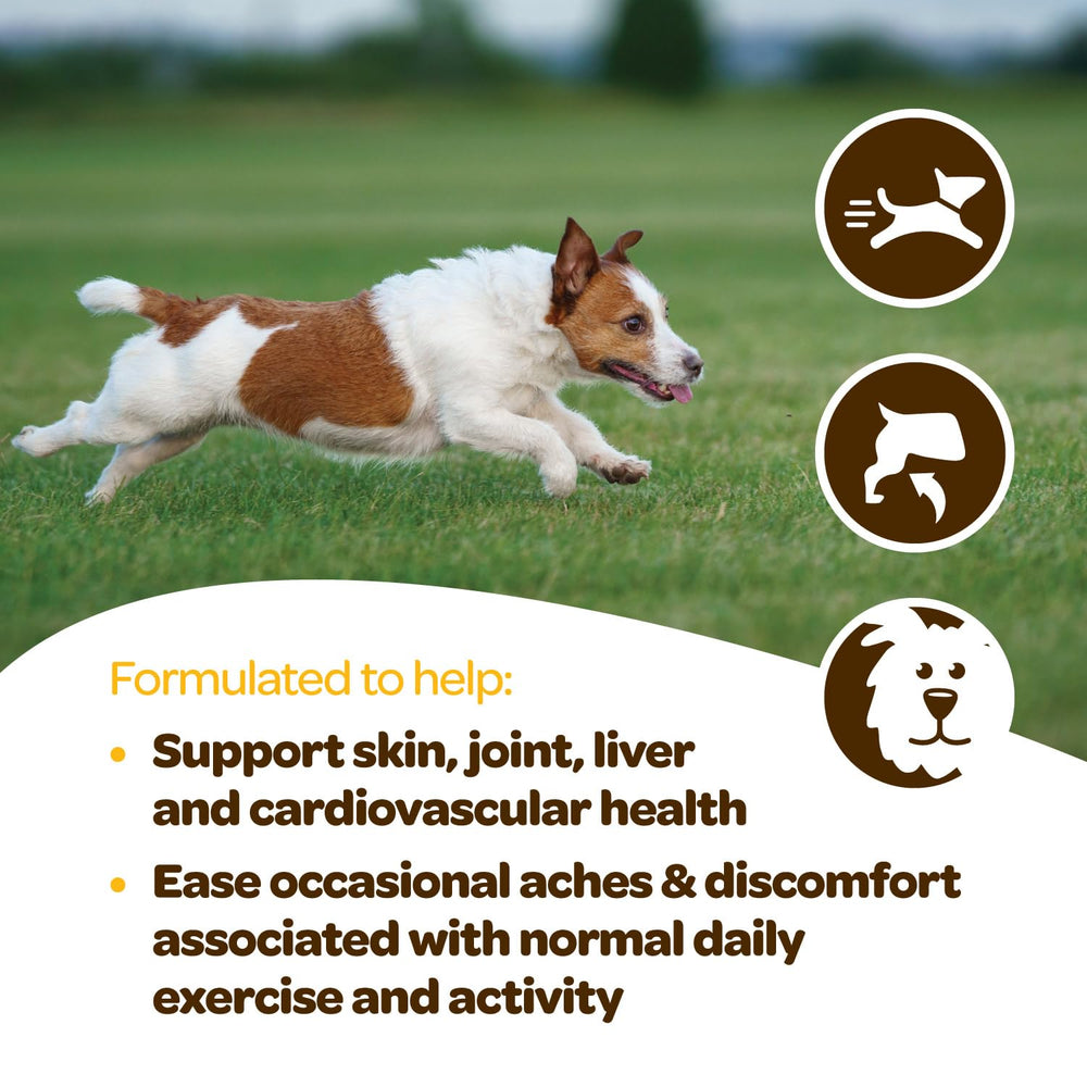 Ready Pet Go dog mobility image emphasizing hip support and active play for all breeds.