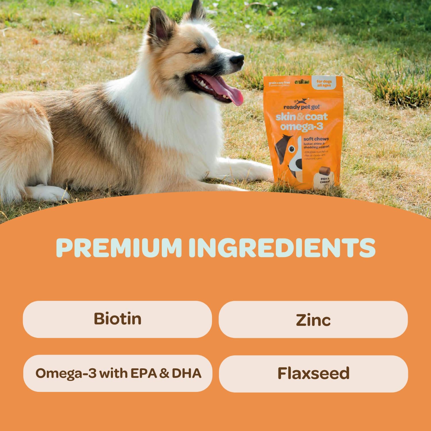 Ready Pet Go! dog skin and coat chews packaging shows grain-free formula.