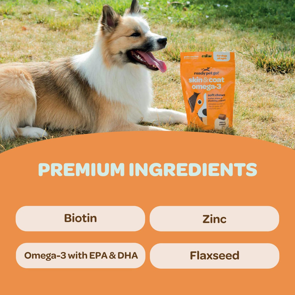Ready Pet Go! dog skin and coat chews packaging shows grain-free formula.