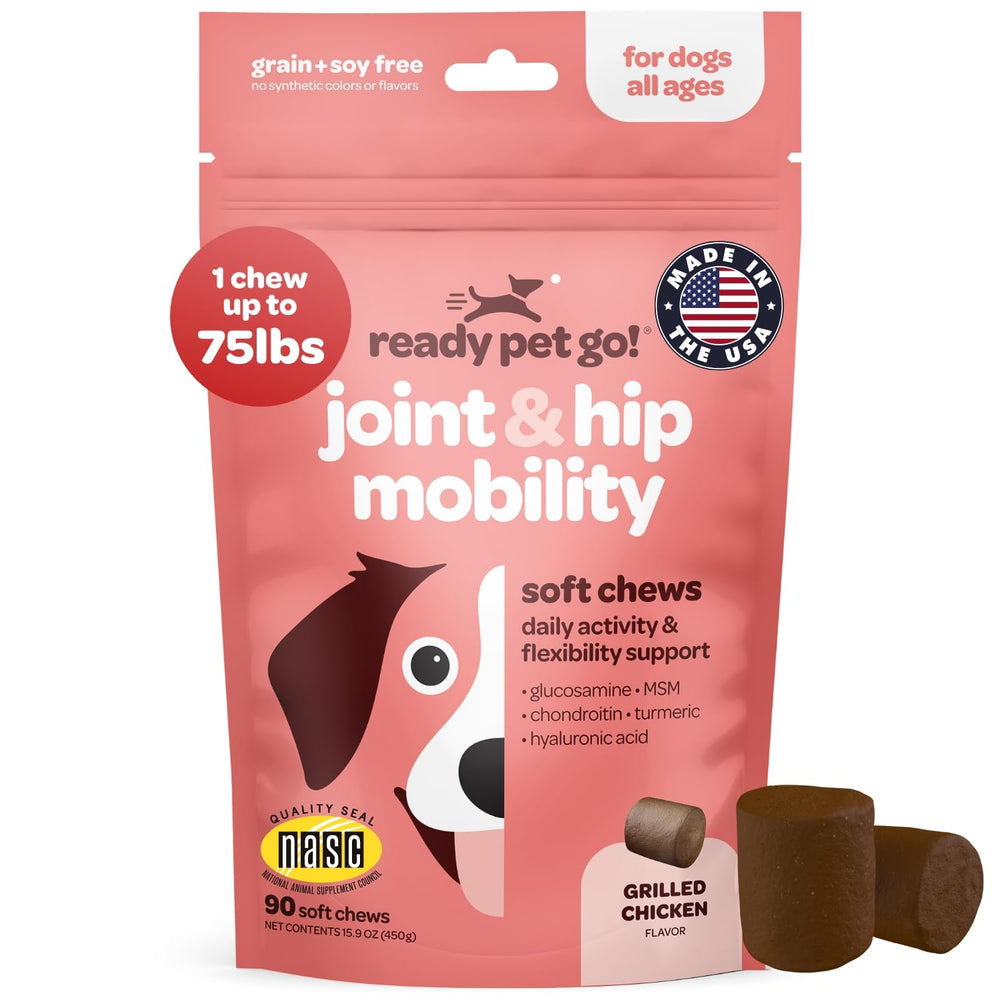 Ready Pet Go hip and joint chews bottle for dog joint support and mobility