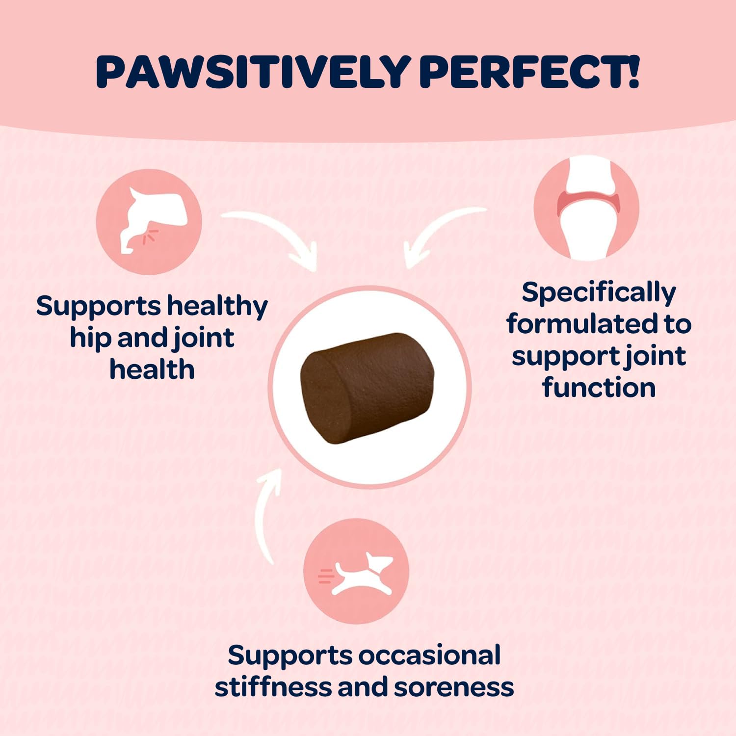Ready Pet Go MSM dog supplement label highlighting MSM and joint support
