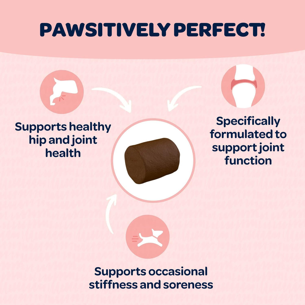 Ready Pet Go MSM dog supplement label highlighting MSM and joint support