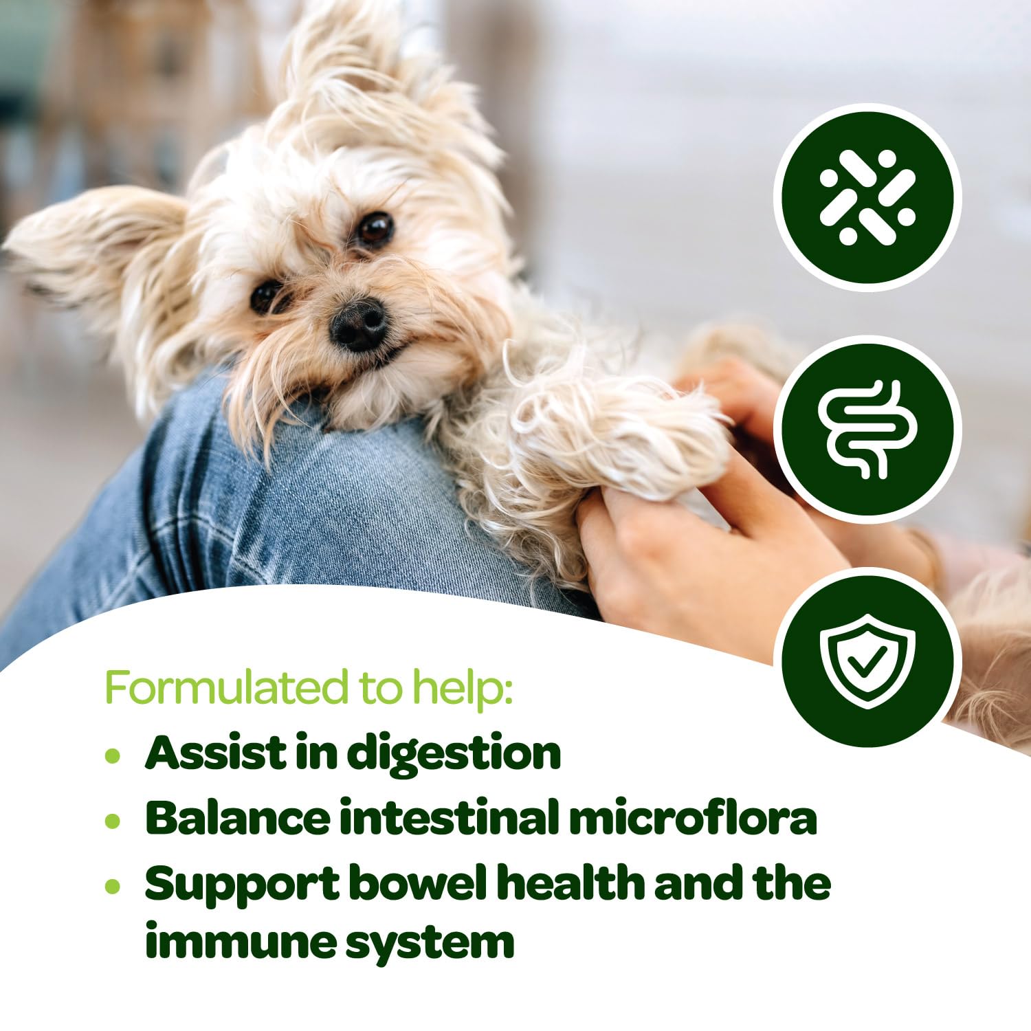 Ready Pet Go probiotic chews delicious dog treat shown with appealing flavor.