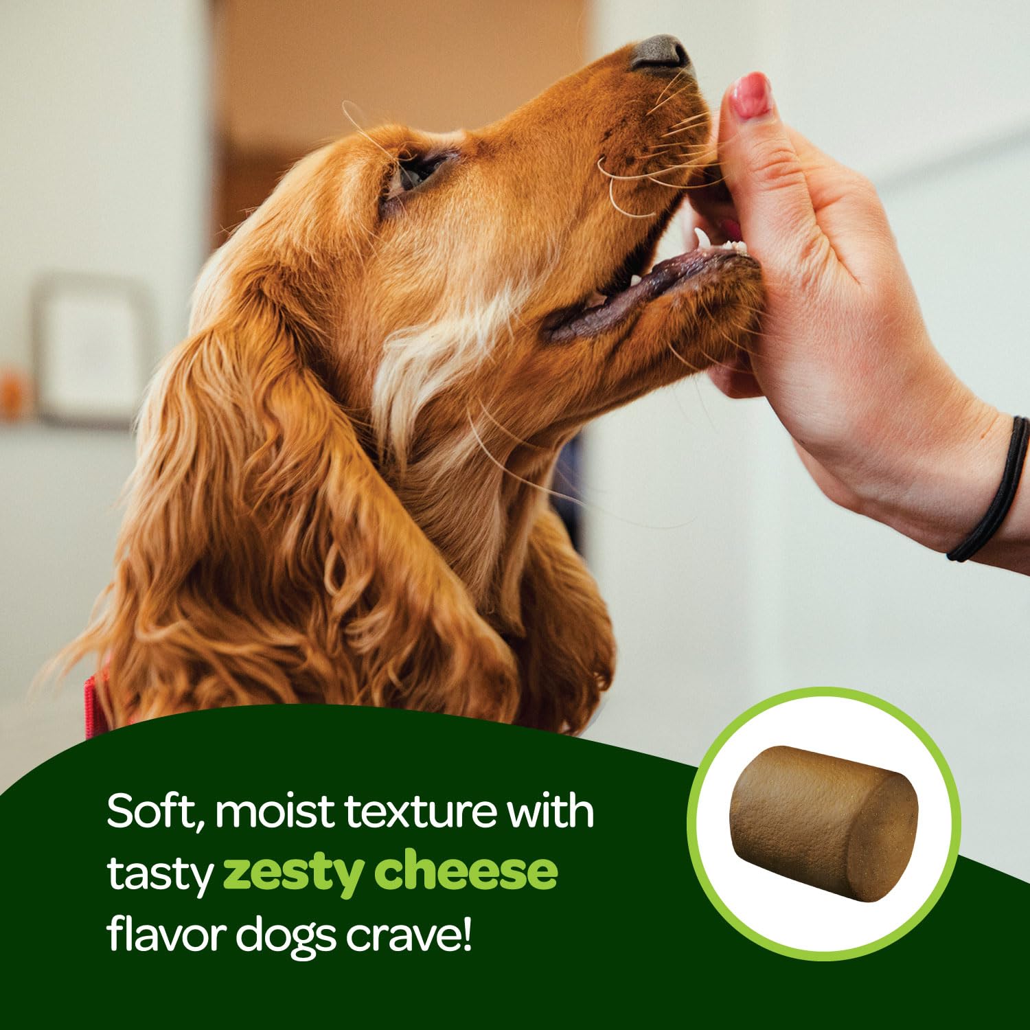 Ready Pet Go probiotic chews digestive gut health visuals imply regularity benefits.