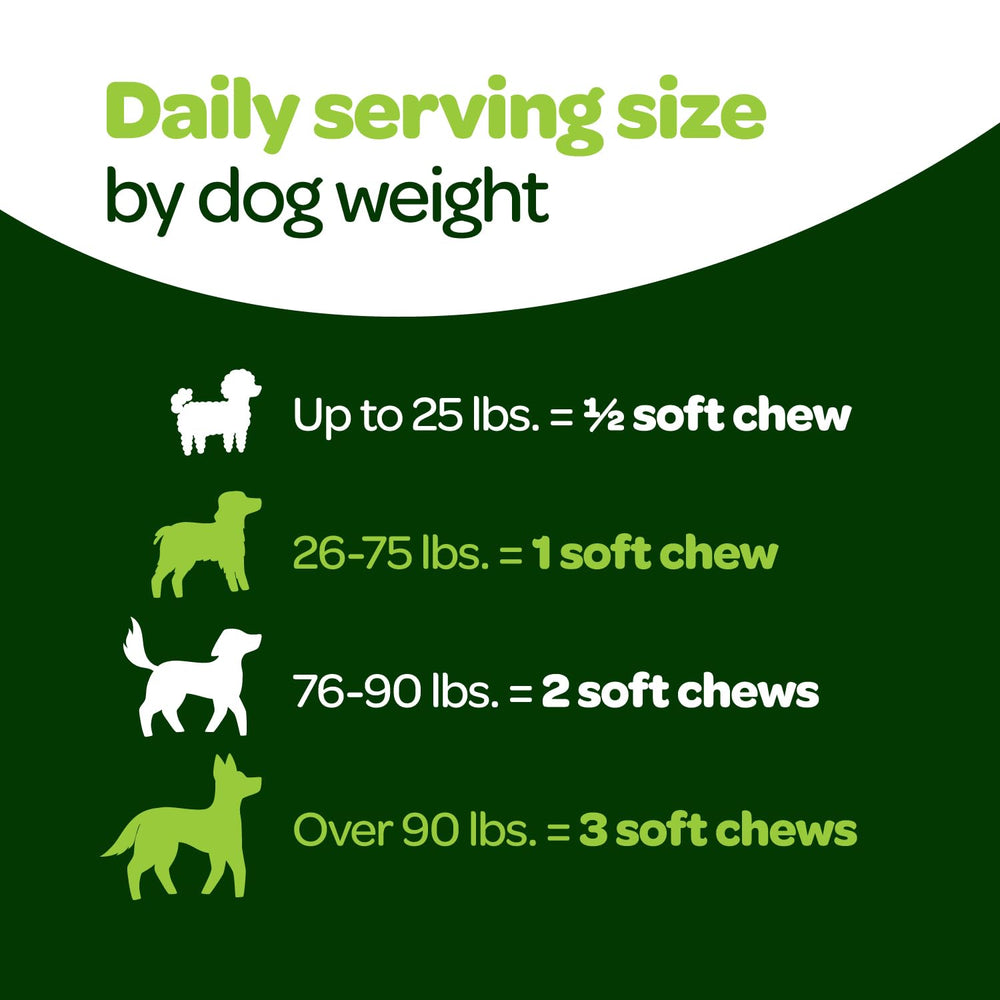Ready Pet Go probiotic chews immune support concept suggests broader canine wellness potential.