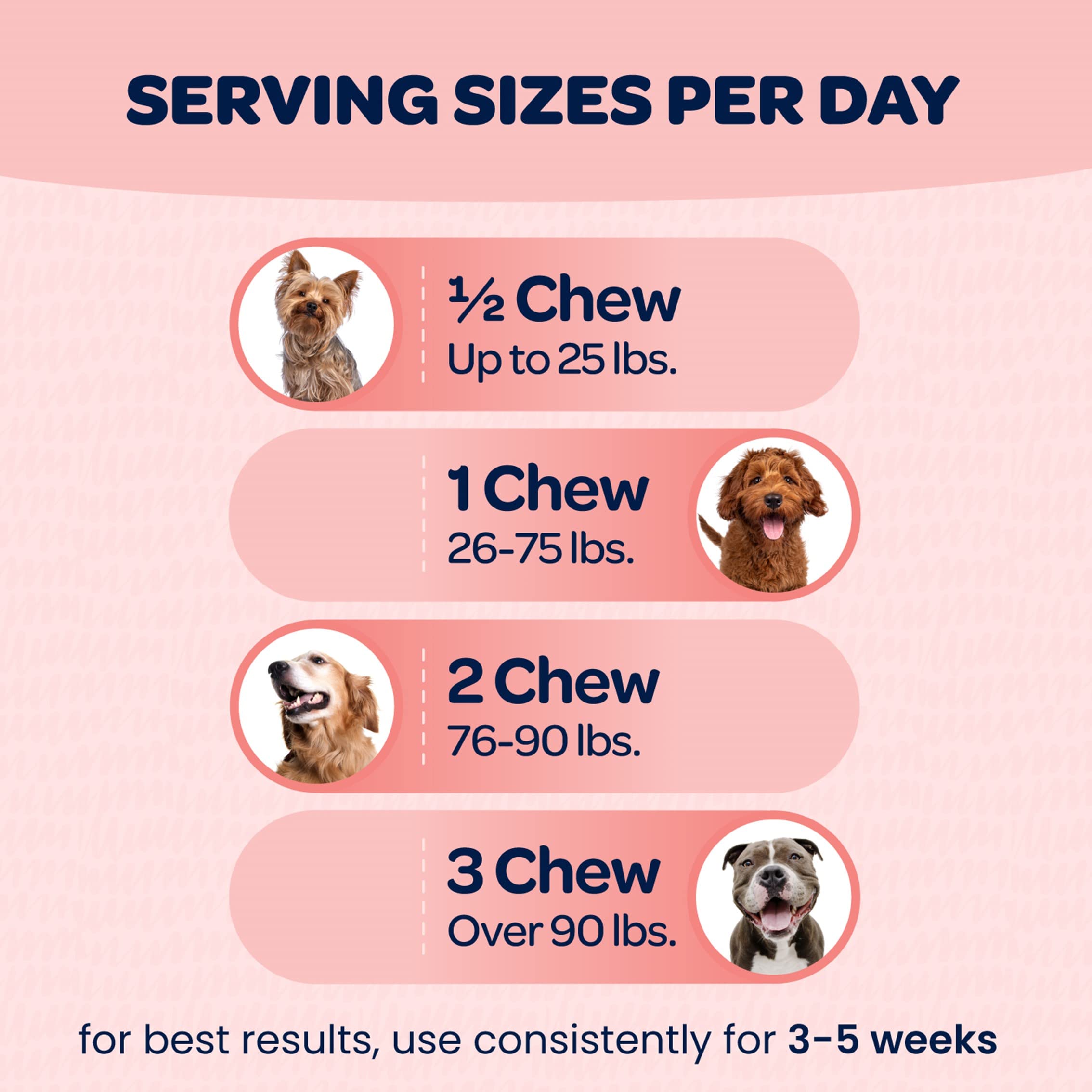 Ready Pet Go turmeric dog chews closeup conveying natural spice and joint support