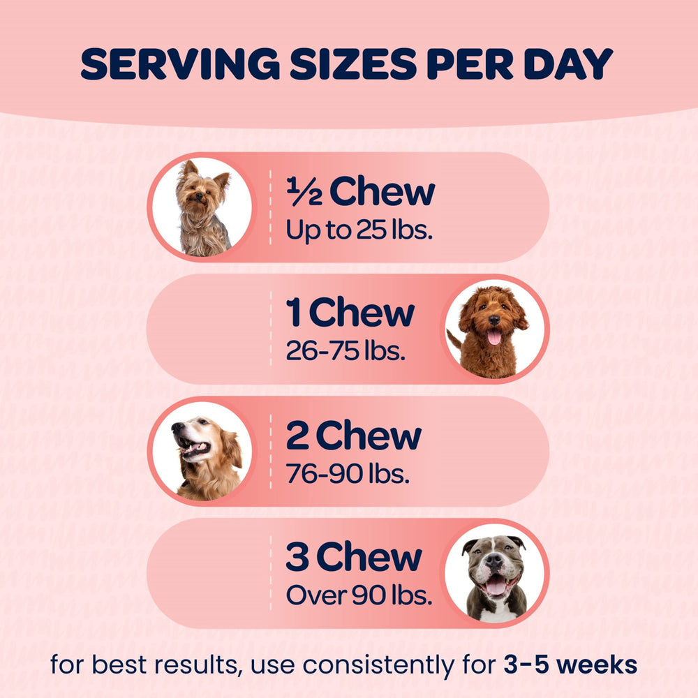 Ready Pet Go turmeric dog chews closeup conveying natural spice and joint support