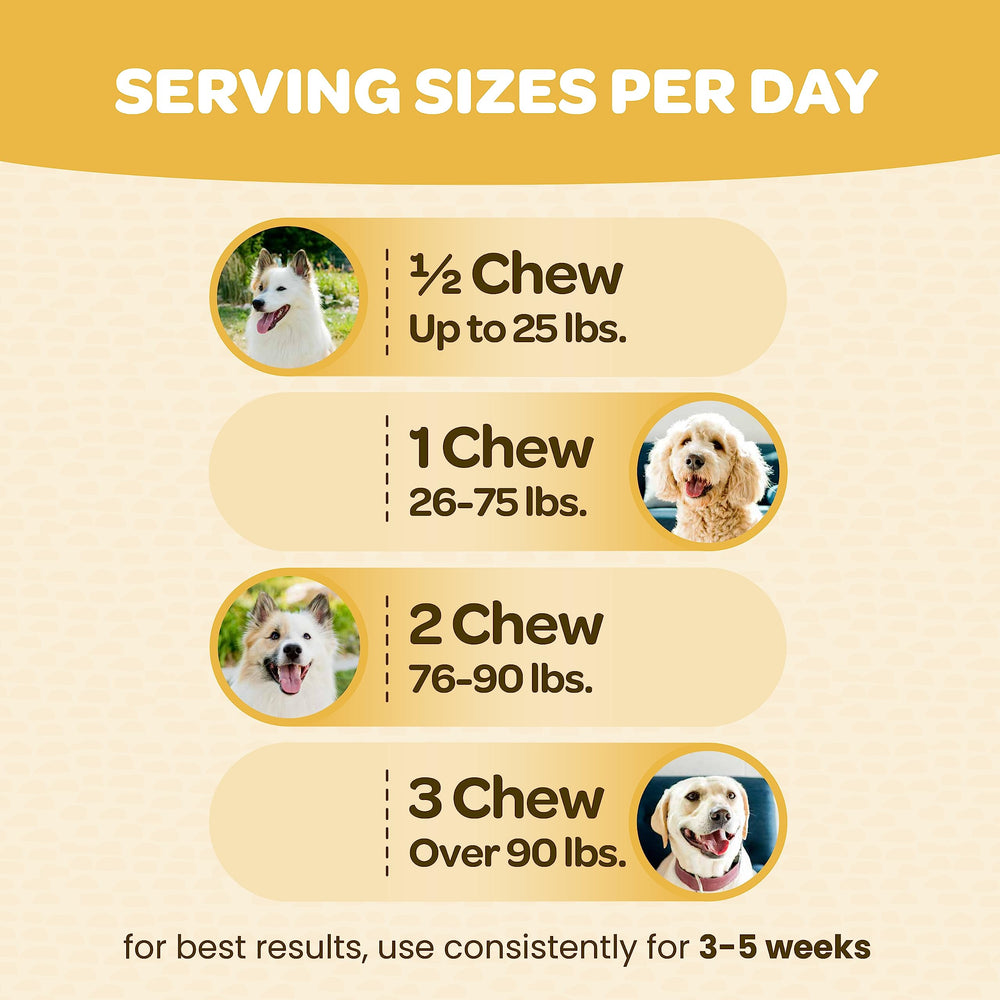 Ready Pet Go turmeric dog chews in a bowl ready for daily mobility support