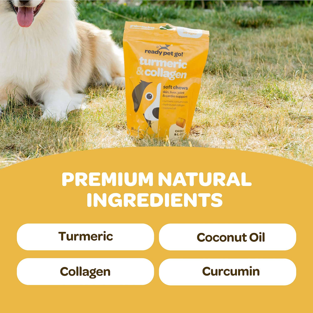 Close-up of Ready Pet Go turmeric chews texture showing grain-free joint aid