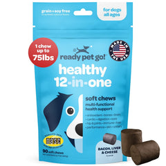 Ready Pet Go 12-in-1 dog multivitamin chews in a jar promote joint comfort and vitality