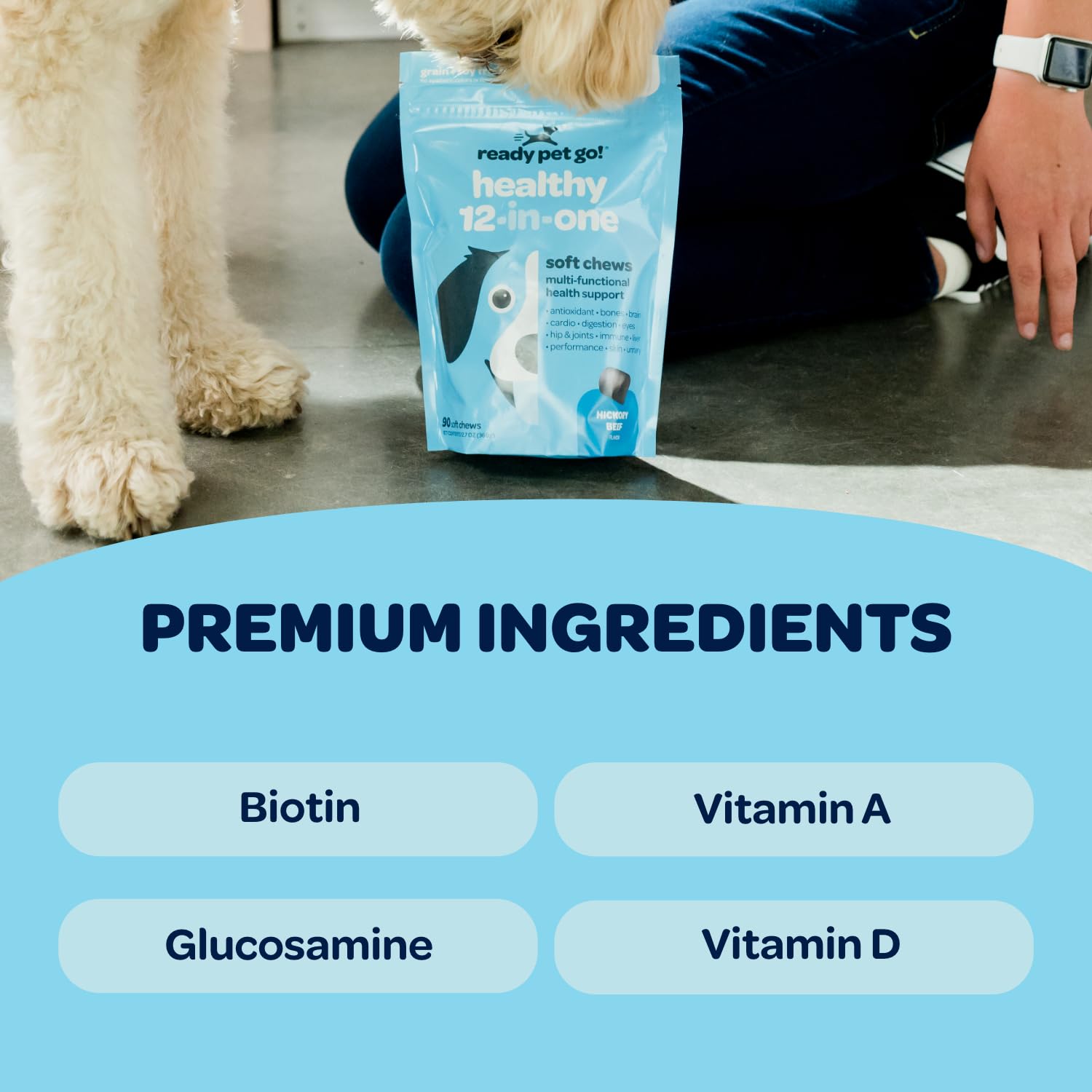 Ready Pet Go 12-in-1 dog multivitamin chews in a pack for convenient daily use
