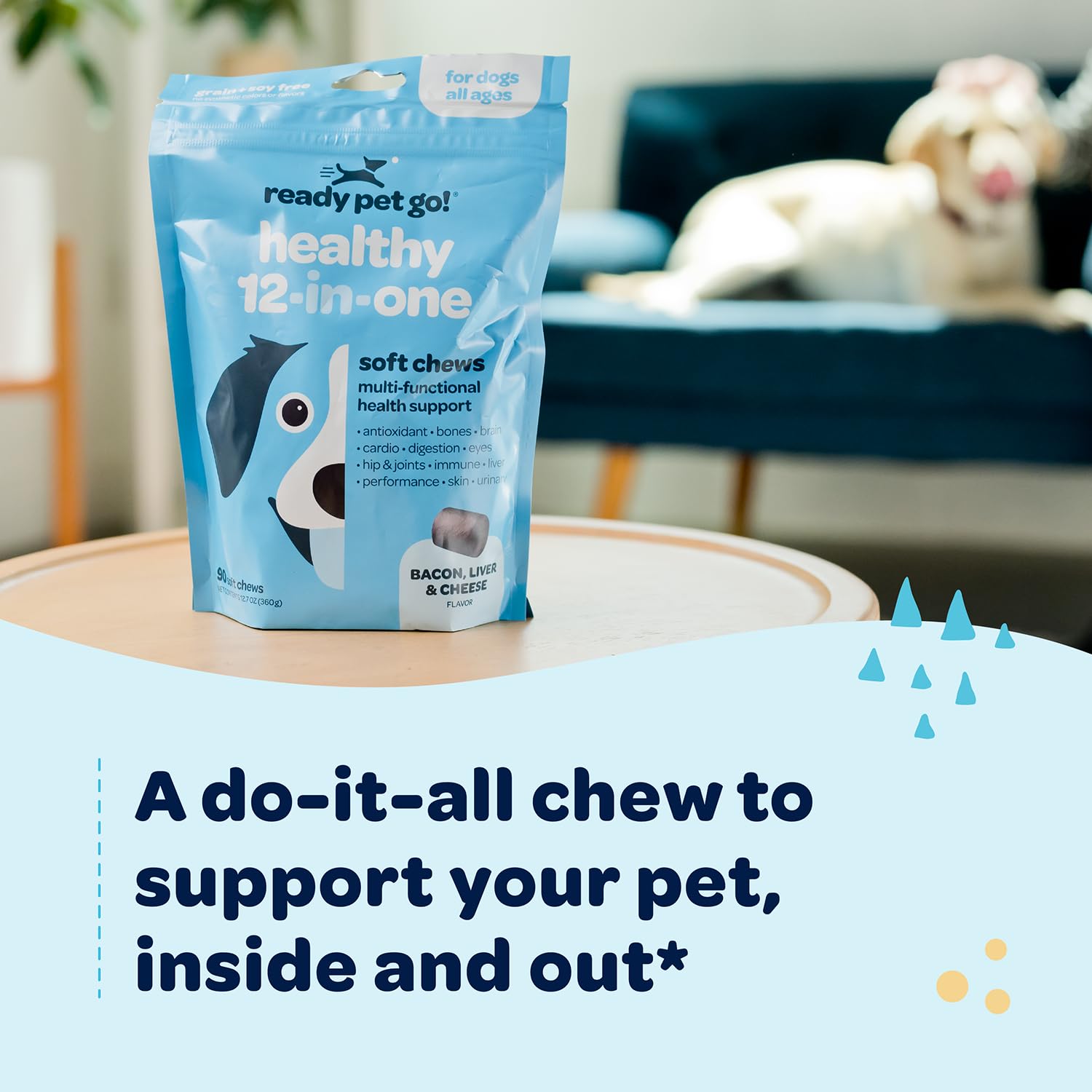 Ready Pet Go digestive probiotics chews aid gut balance for dogs