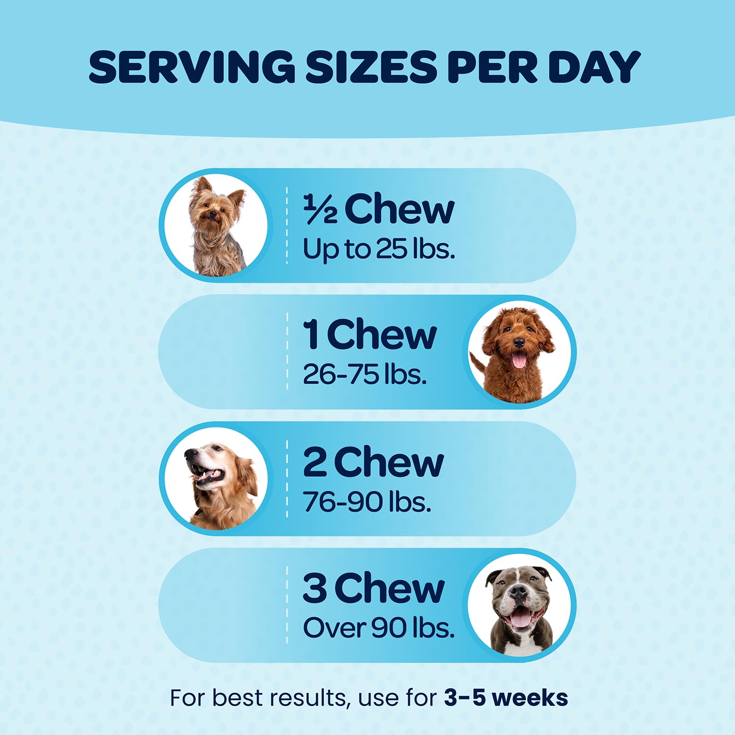 Ready Pet Go glucosamine-chondroitin dog chews support hip joints