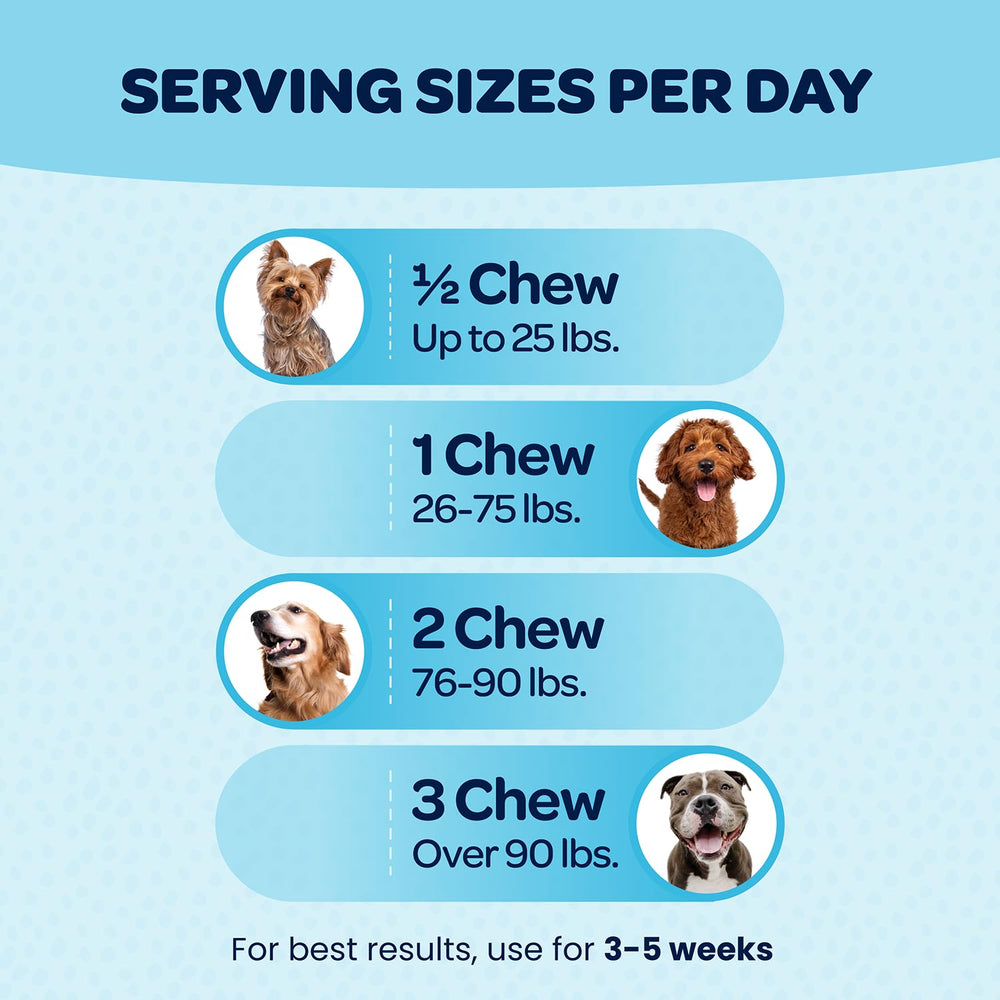 Ready Pet Go glucosamine-chondroitin dog chews support hip joints