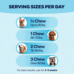 Ready Pet Go glucosamine-chondroitin dog chews support hip joints
