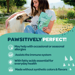 Ready Pet Go bottle scene emphasizes grain-free formulation.