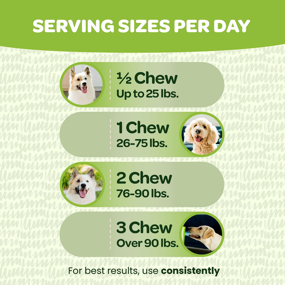 Ready Pet Go! probiotic chews digestive enzymes close-up showing added enzymes